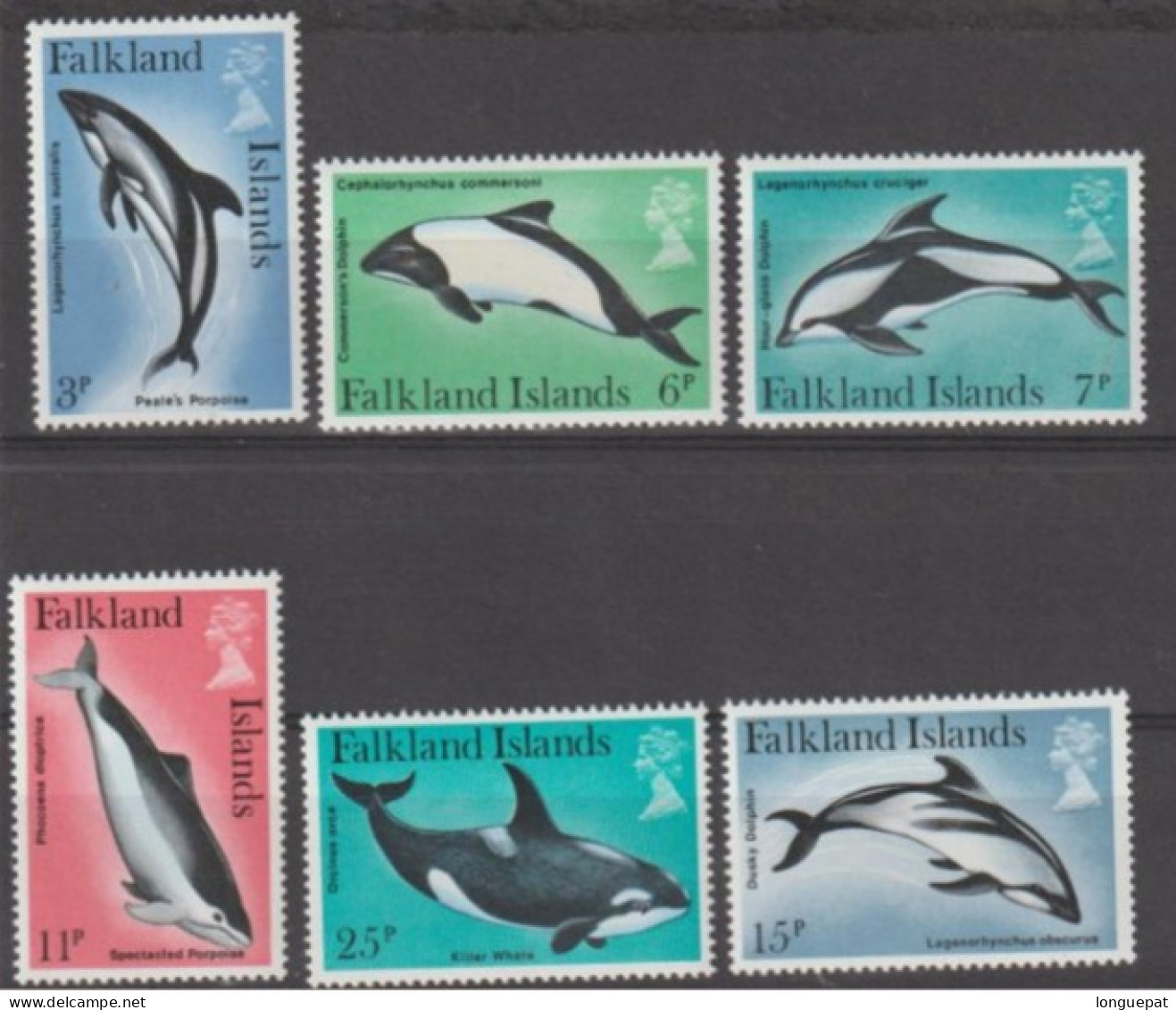 FALKLAND - Faune Marine -Dauphins Et Marsoins- Cétacées - Mammifères - - Dolphins