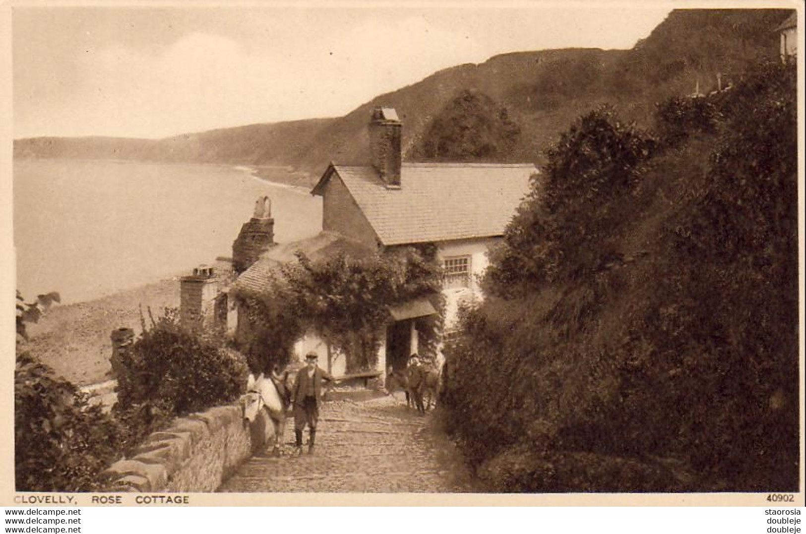 ENGLAND  CLOVELLY   Rose Cottage ( Avec ânes ) - Clovelly