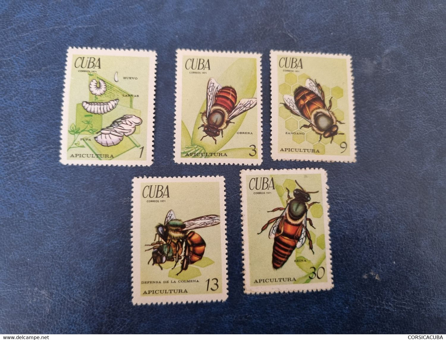 CUBZ  NEUF  1971     APICULTURE   //  PARFAIT  ETAT  //   1er  CHOIX  // - Unused Stamps