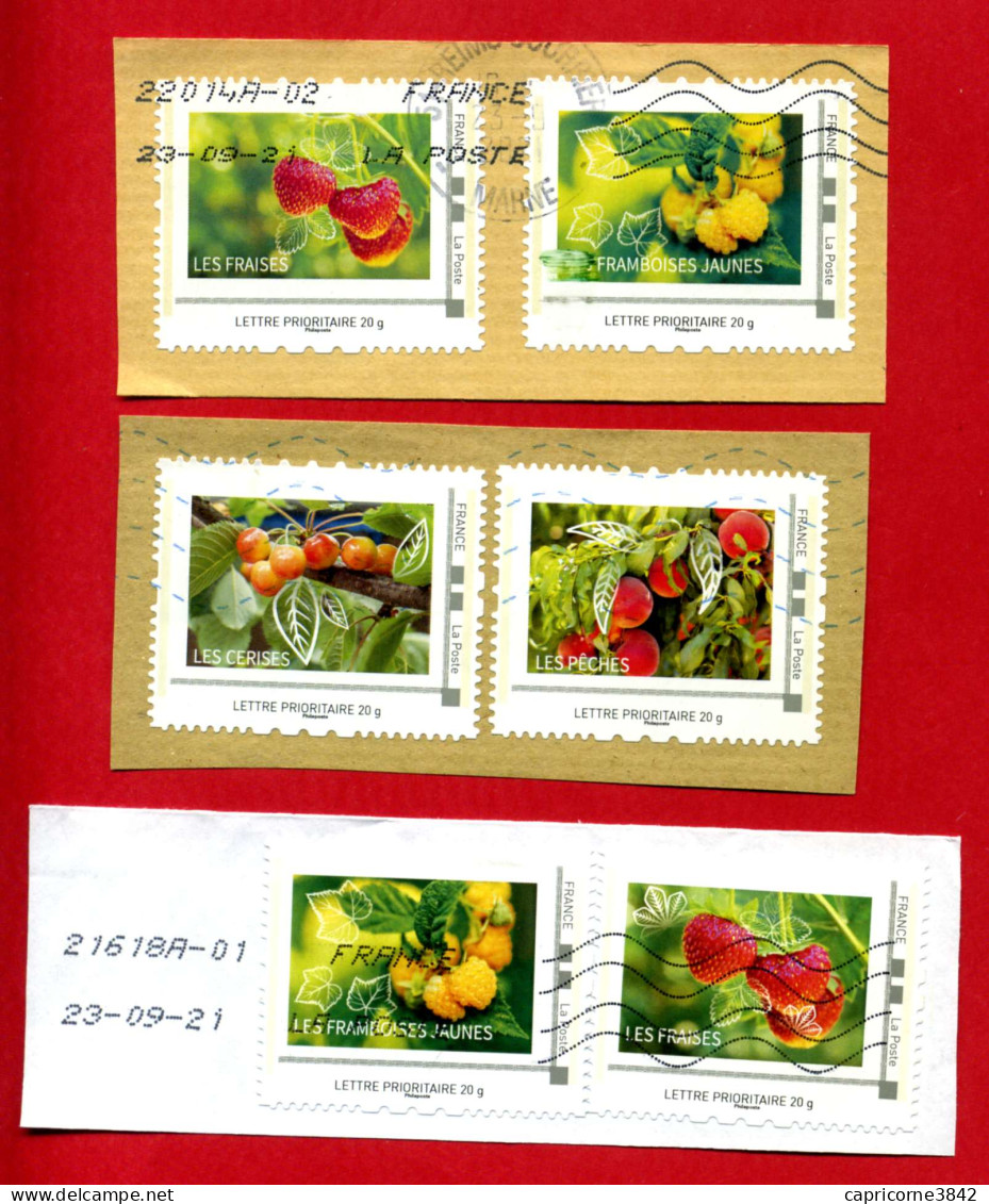 2010 - Collector "FRUITS D'ÉTÉ" - 6 Timbres Montimbramoi Sur Fragments - Gebruikt