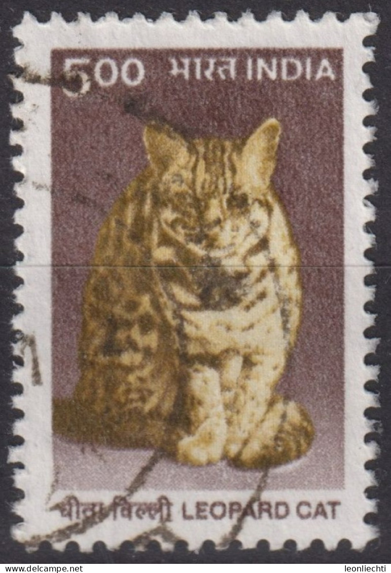 2000 Indien ° Mi:IN 1759, Sn:IN 1825, Yt:IN 1525, Leopard Cat (Prionailurus Bengalensis) - Oblitérés