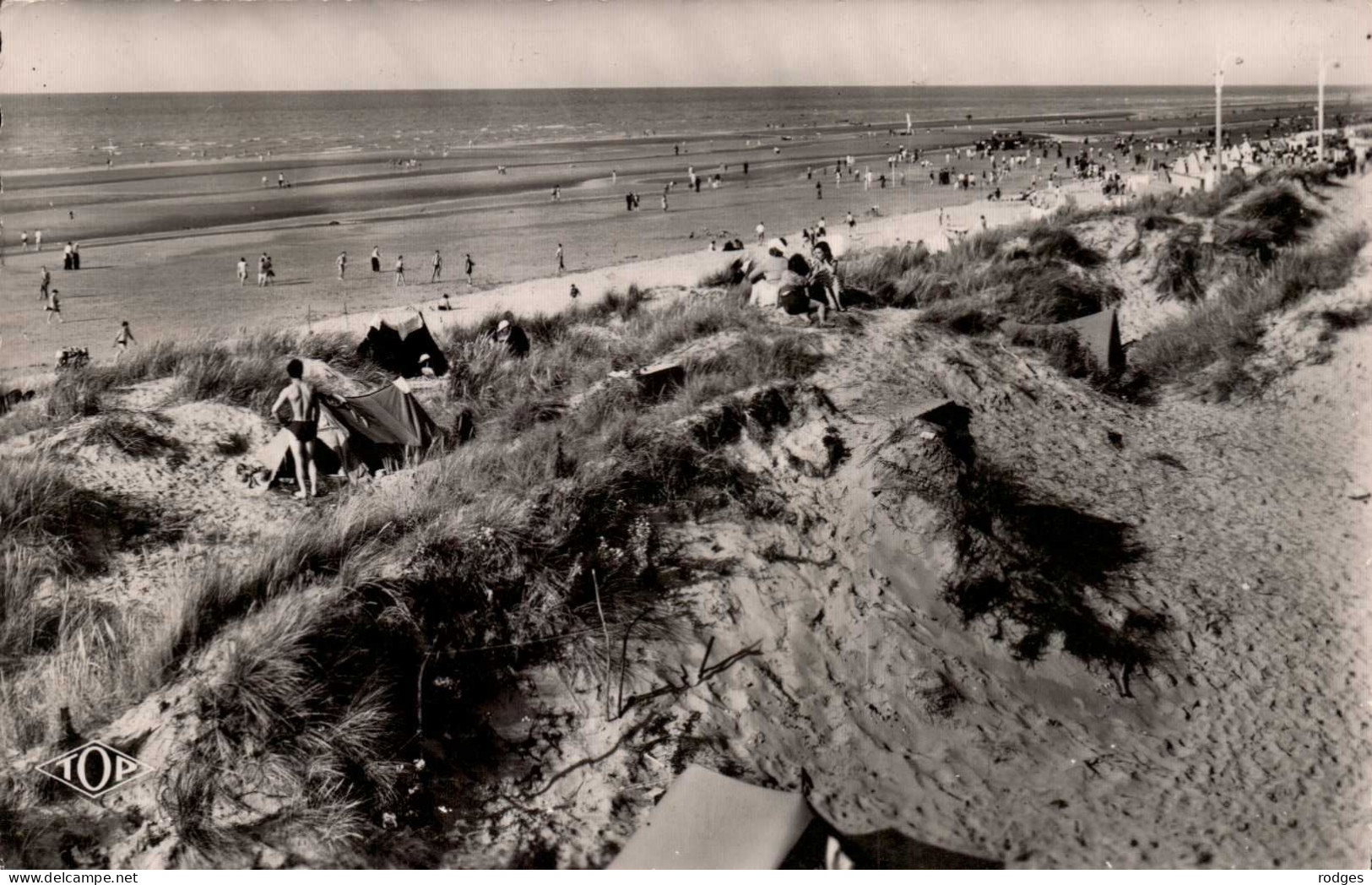 59 , Cpsm  BRAY DUNES , Les Dunes , 79 (9752.F24) - Bray-Dunes