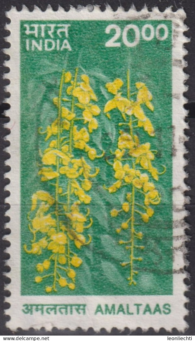 2000 Indien ° Mi:IN 1798, Sn:IN 1828, Yt:IN 1564, Amaltaas, Pflanze - Blumen - Oblitérés