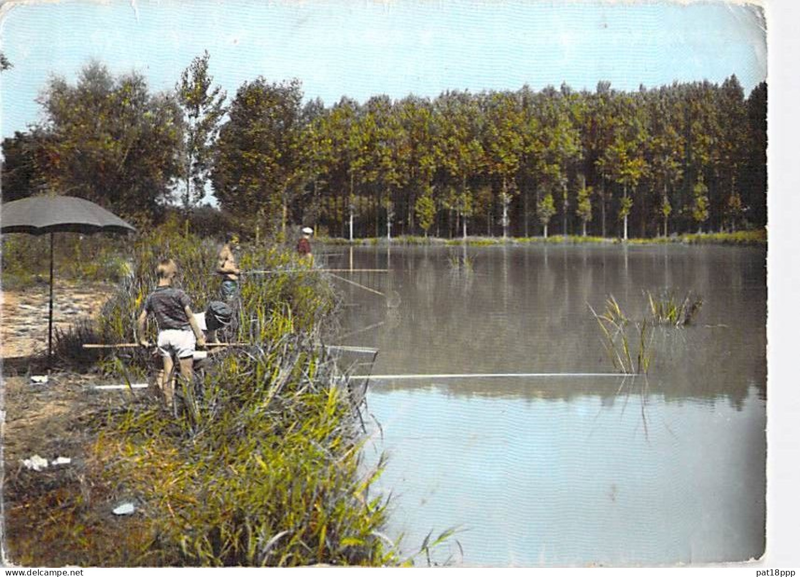 SPORT - PÊCHE A LA LIGNE ( Loisirs ) Lot de 10 CPSM photos (dont 7 dentelées) grand format FRANCE