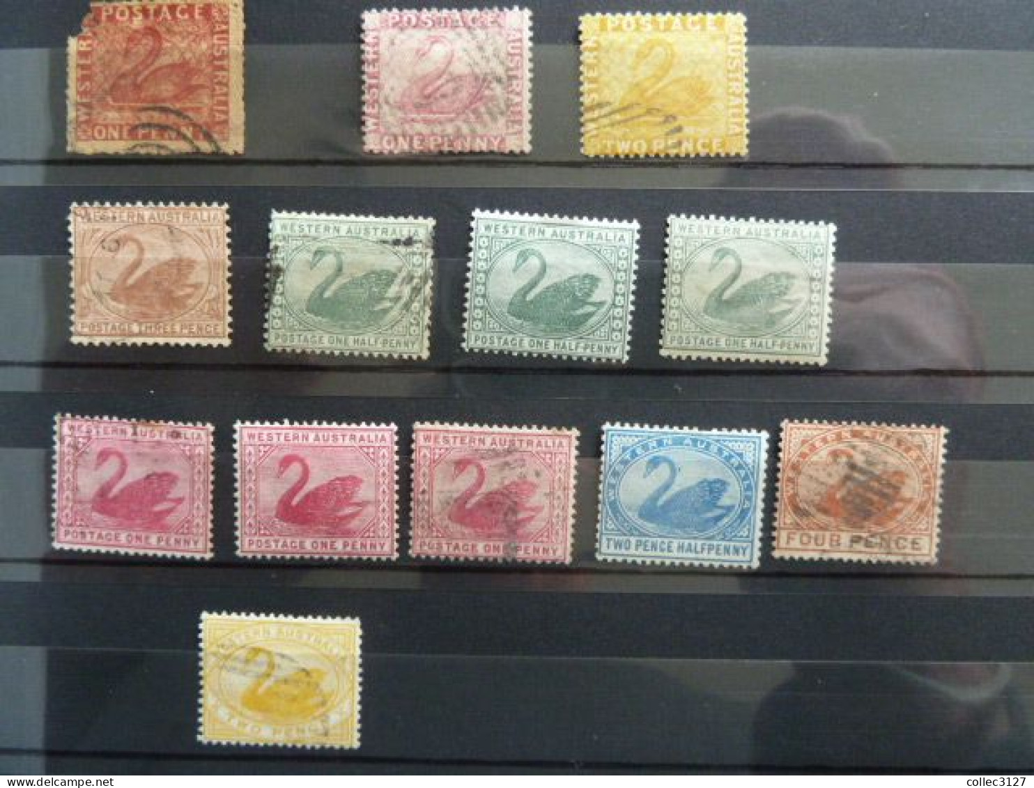 H2 - Australie - Western Australia - Petit Lot De Timbres Anciens à Voir - Otros & Sin Clasificación