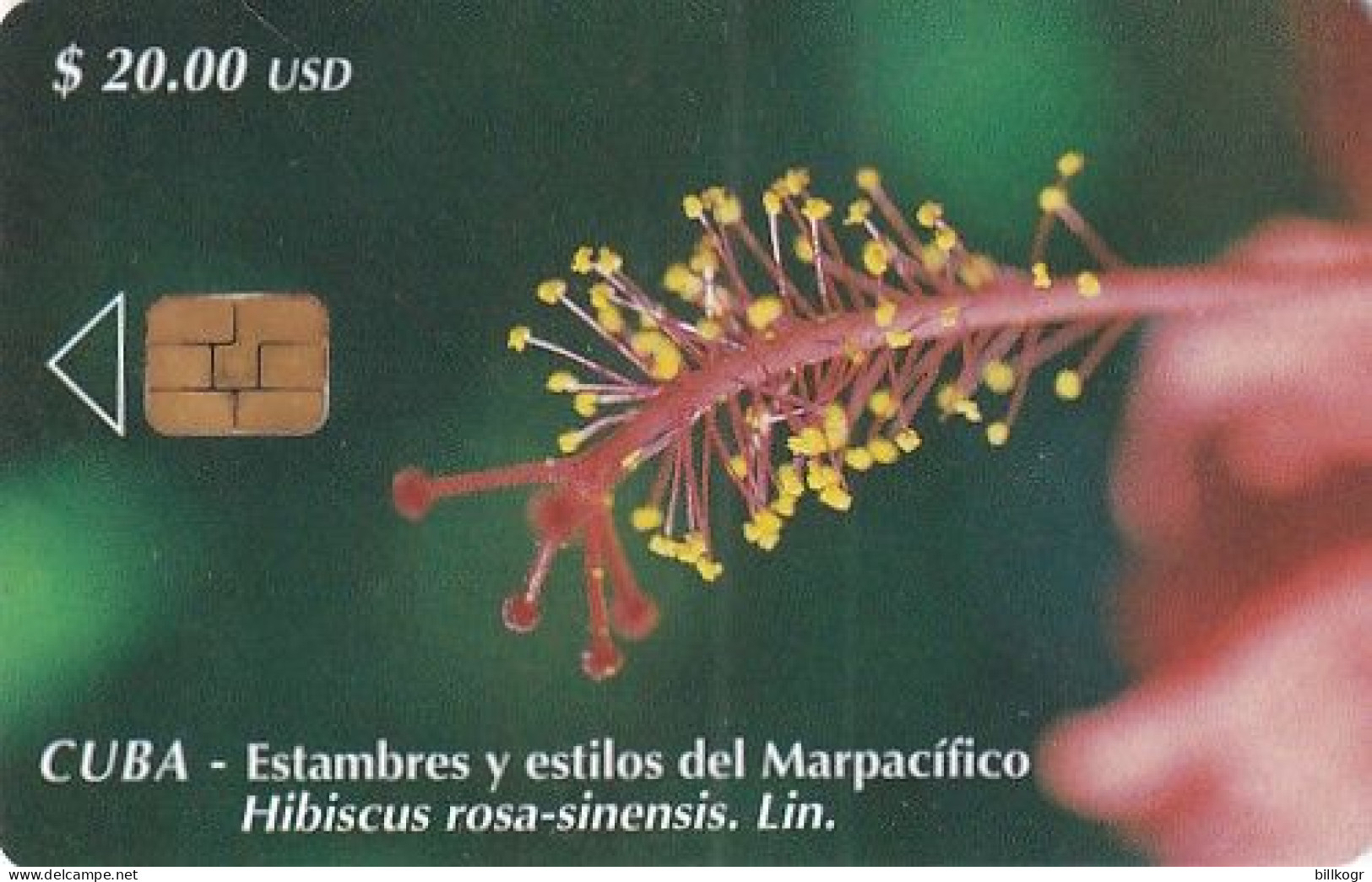 CUBA - Hibiscus, Tirage 30000, 10/00, Used - Kuba