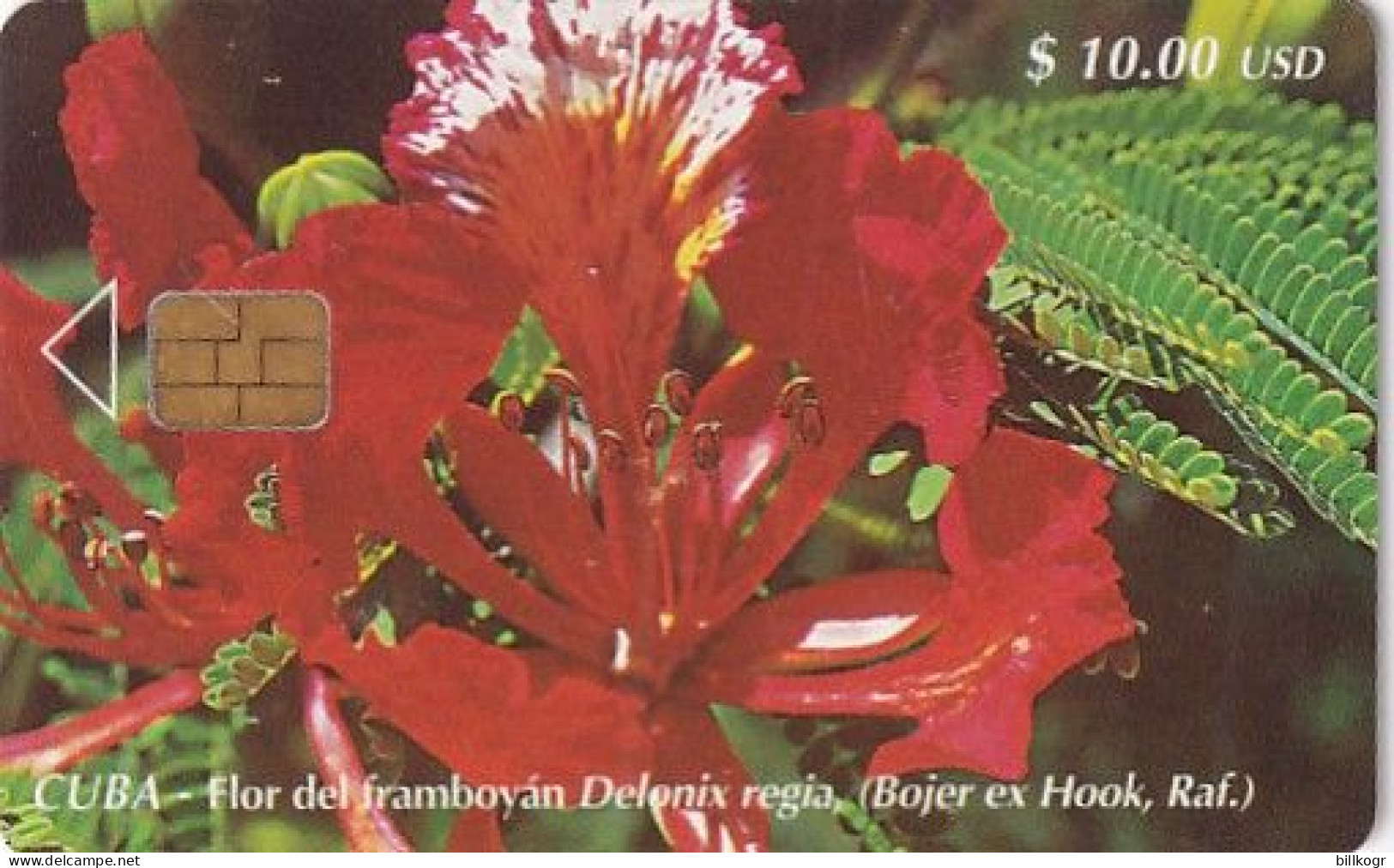 CUBA - Flower, Tirage 30000, 12/00, Used - Kuba