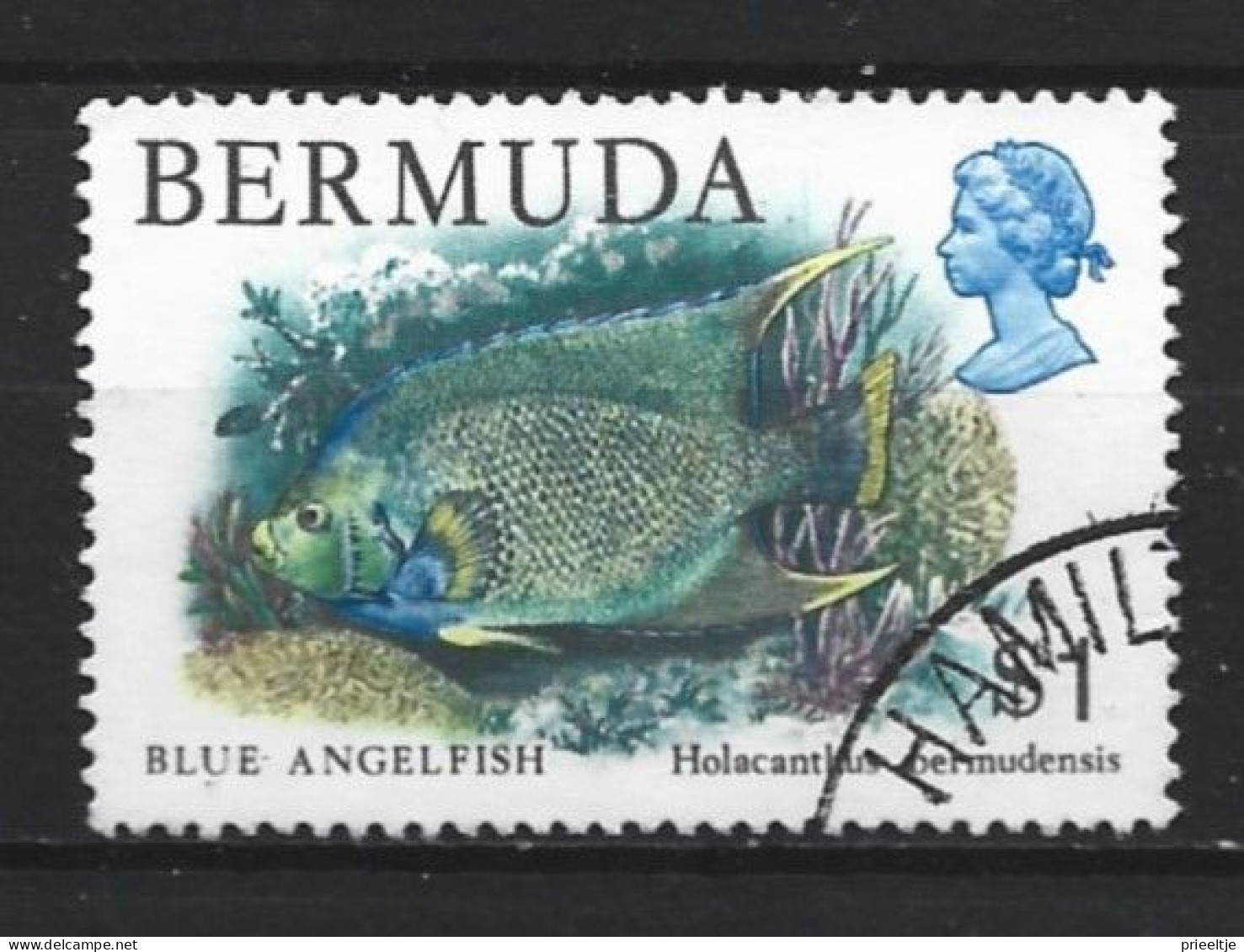 Bermuda 1978 Fish Y.T. 366  (0) - Bermuda