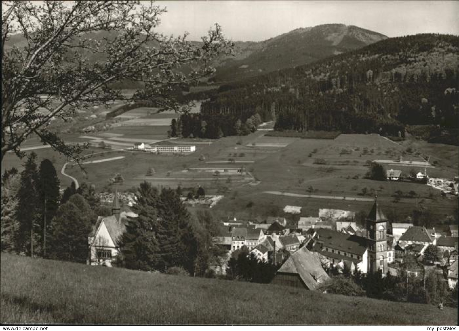 41216093 Elzach Panorama Elzach - Elzach