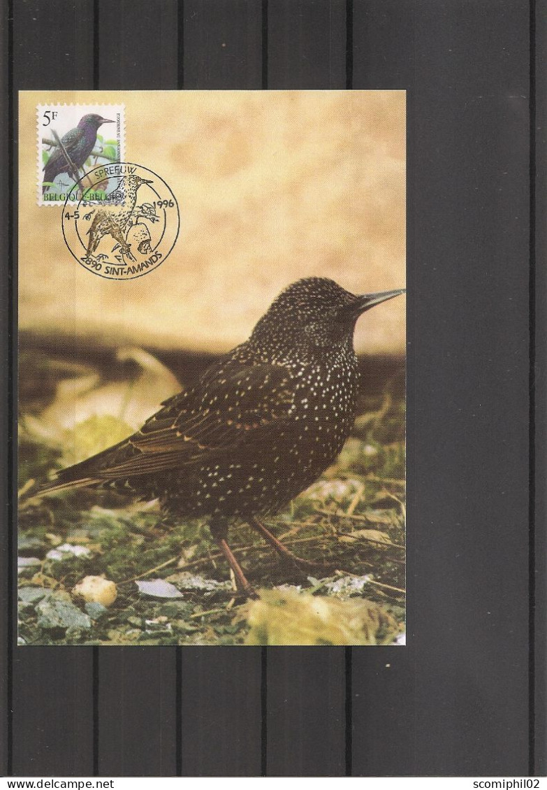 Belgique - Oiseaux - Buzin (  CM De 1996 à Voir) - 1991-2000