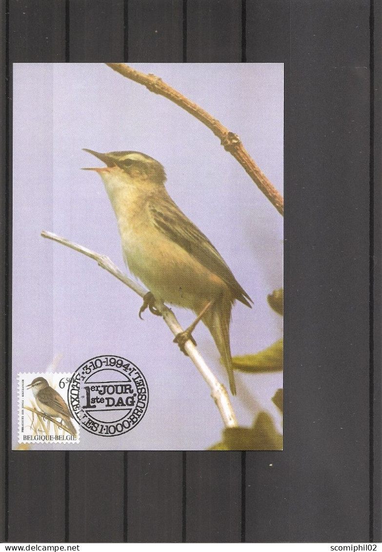 Belgique - Oiseaux - Buzin (  CM De 1994 à Voir) - 1991-2000