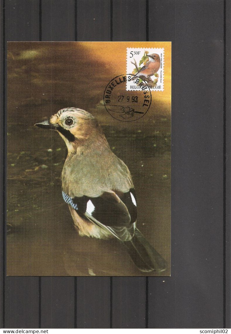 Belgique - Oiseaux - Buzin (   CM De 1993 à Voir) - 1991-2000