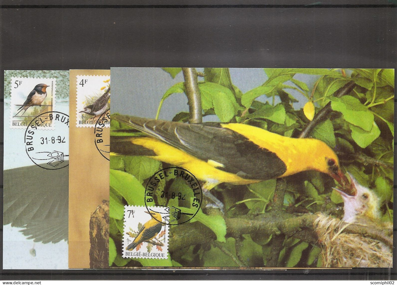 Belgique - Oiseaux - Buzin ( 3  CM De 1994 à Voir) - 1991-2000