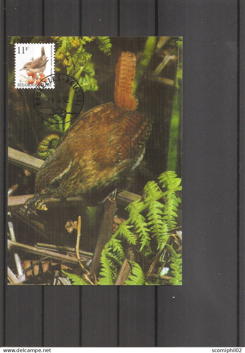 Belgique - Oiseaux - Buzin (   CM De 1992 à Voir) - 1991-2000