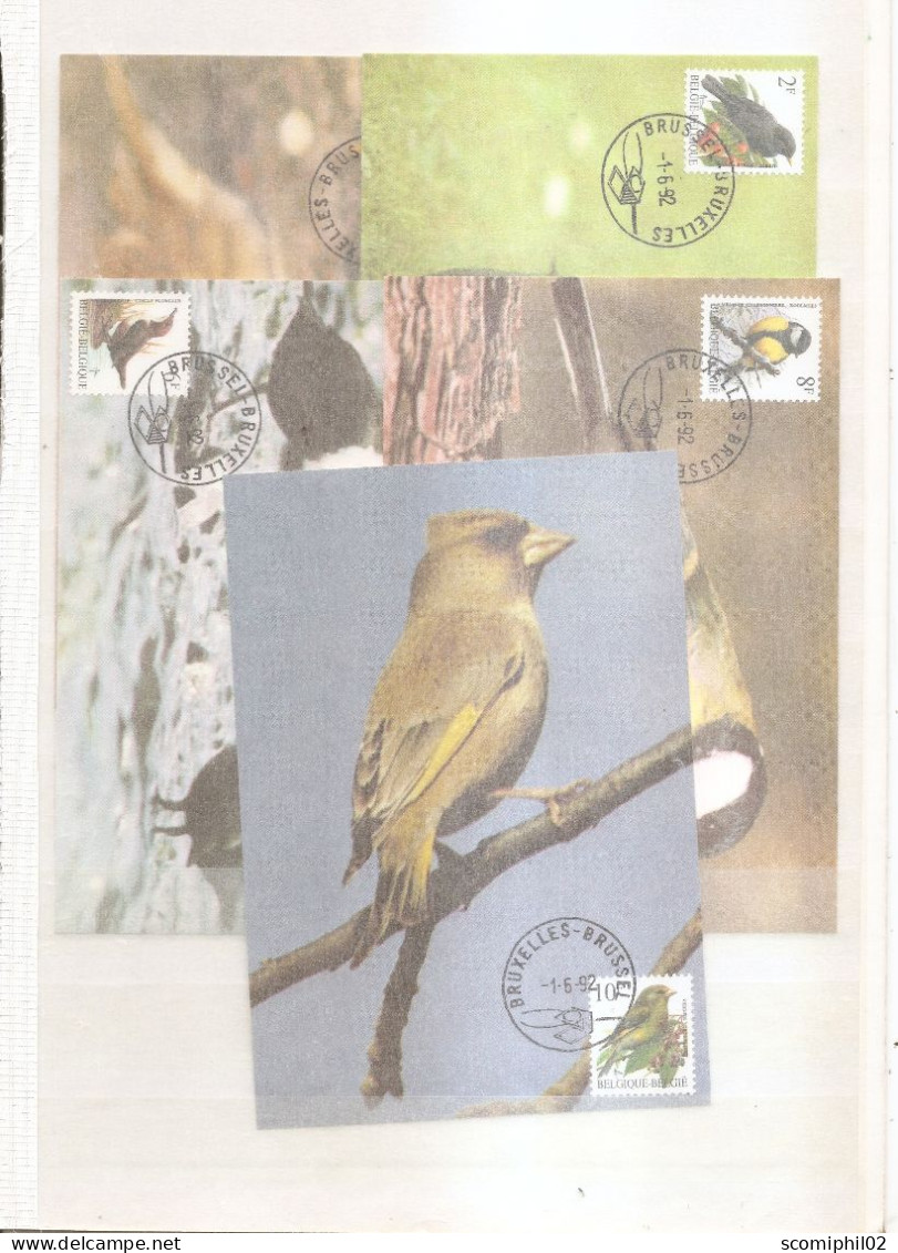 Belgique - Oiseaux - Buzin (  5  CM  De 1992 à Voir) - 1991-2000