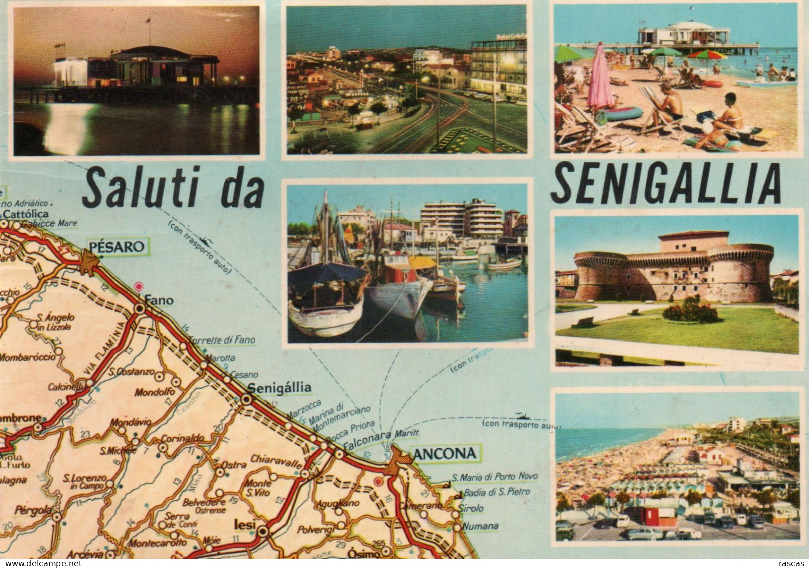 CPM - P - ITALIE - MARCHE - SALUTI DA SENIGALLIA - MULTIVUES - Senigallia