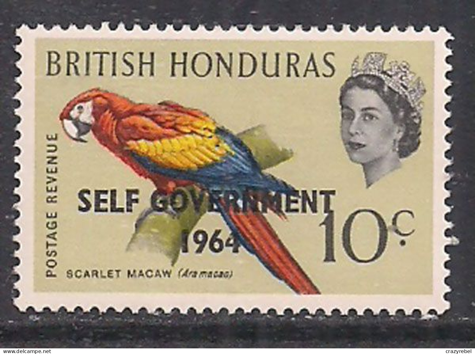 British Honduras 1964 QE2 10c Birds SG 220 MNH ( D1058 ) - Honduras Británica (...-1970)