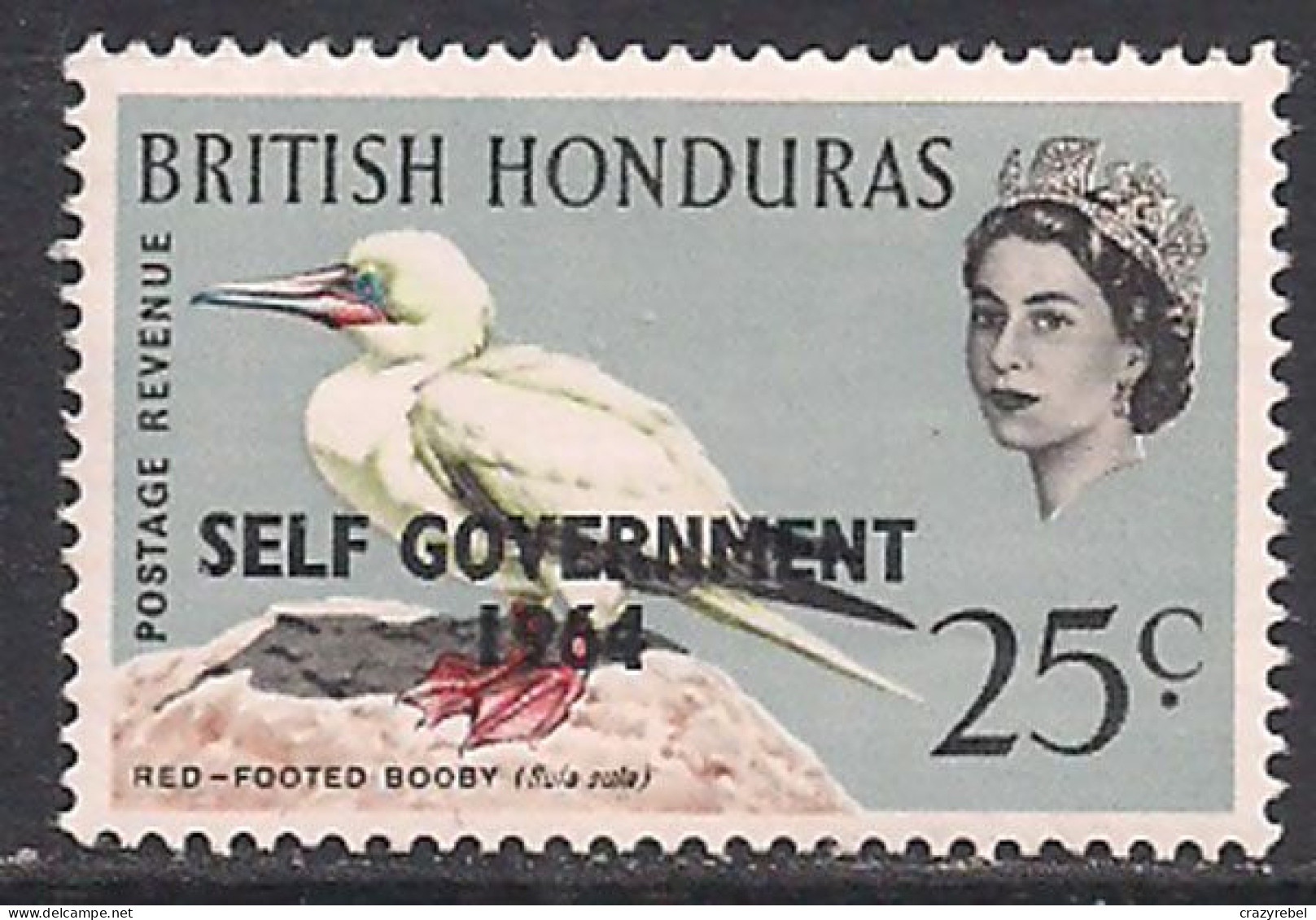 British Honduras 1964 QE2 25c Birds SG 221 MNH ( D1293 ) - Honduras Británica (...-1970)