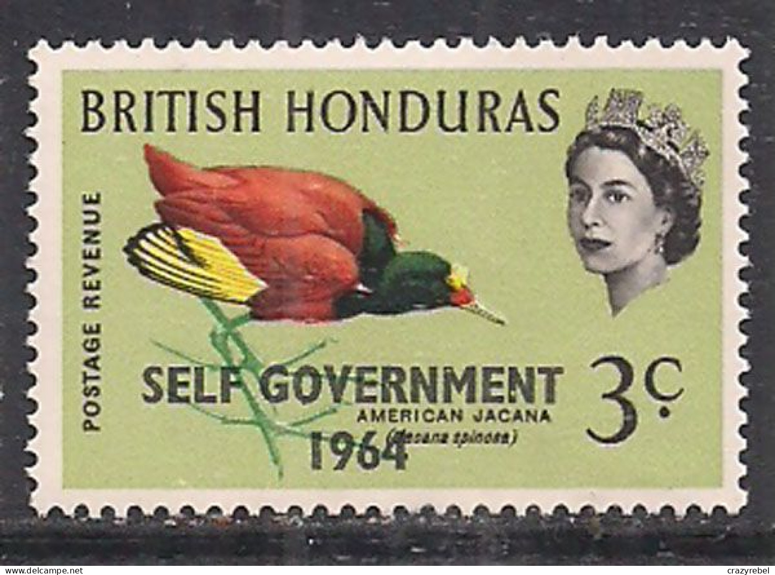 British Honduras 1964 QE2 3c Birds SG 218 MNH ( D1032 ) - Honduras Británica (...-1970)