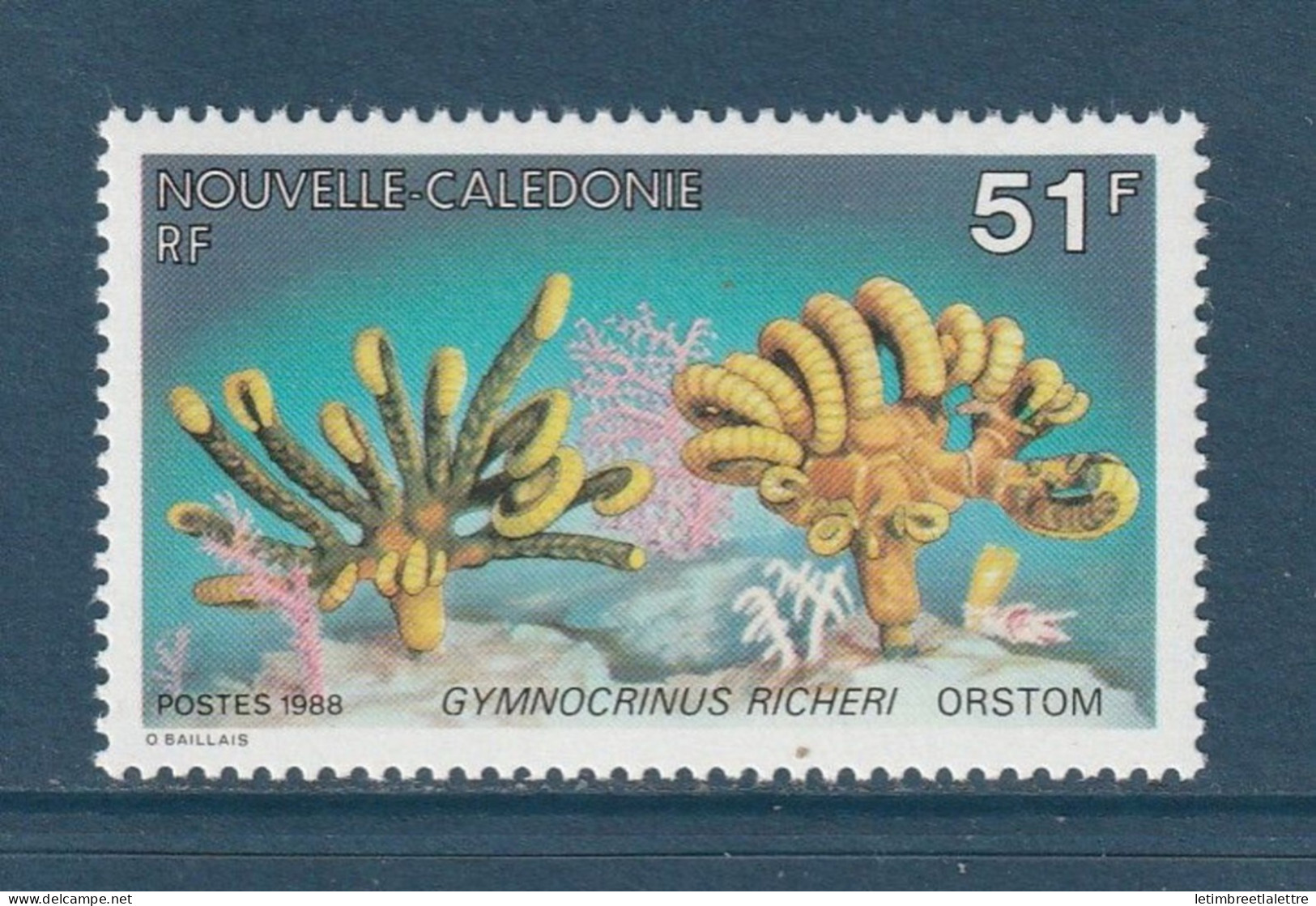 Nouvelle Calédonie - YT N° 557 ** - Neuf Sans Charnière - 1988 - Unused Stamps