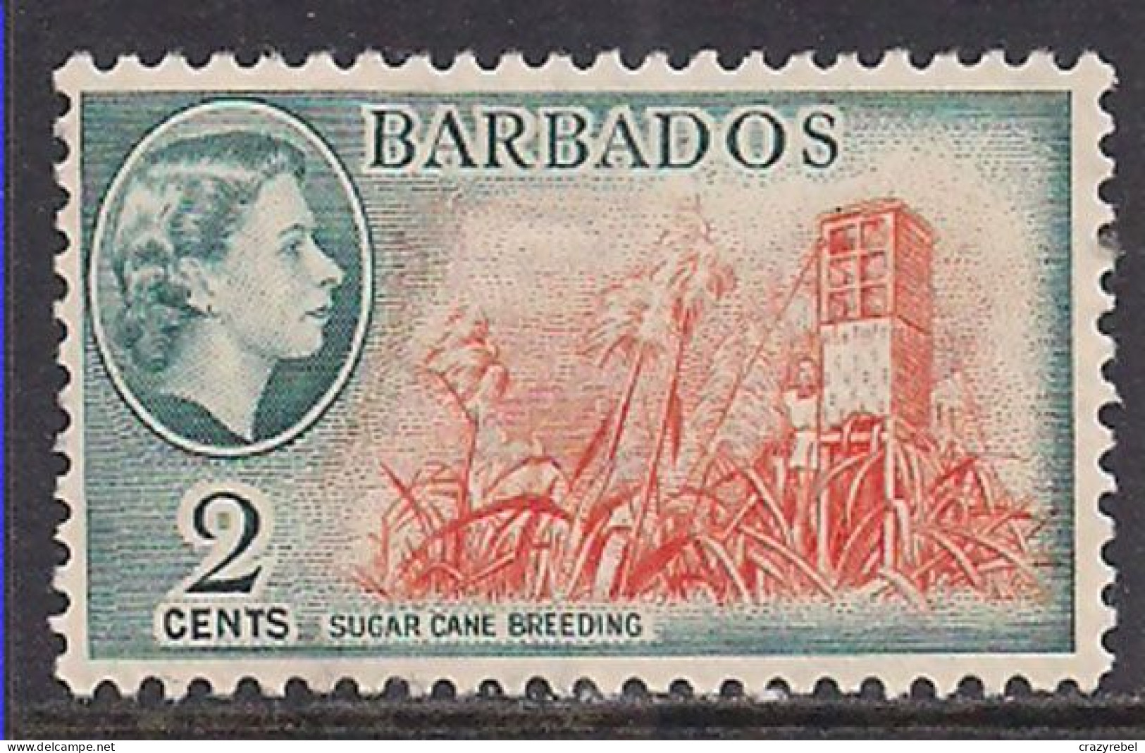 Barbados 1953-61 QE2 2cents SG 290 MNH ( K772 ) - Bahrein (...-1965)