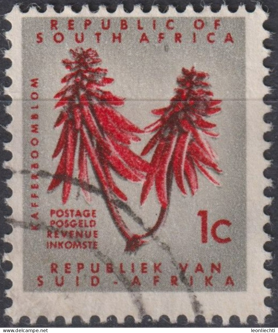 1961 Südafrika ° Mi:ZA 300, Sn:ZA 269, Yt:ZA 265, Kafferboom Flower Coral Tree (Erythrina Lysistemon), Redrawn - Usados