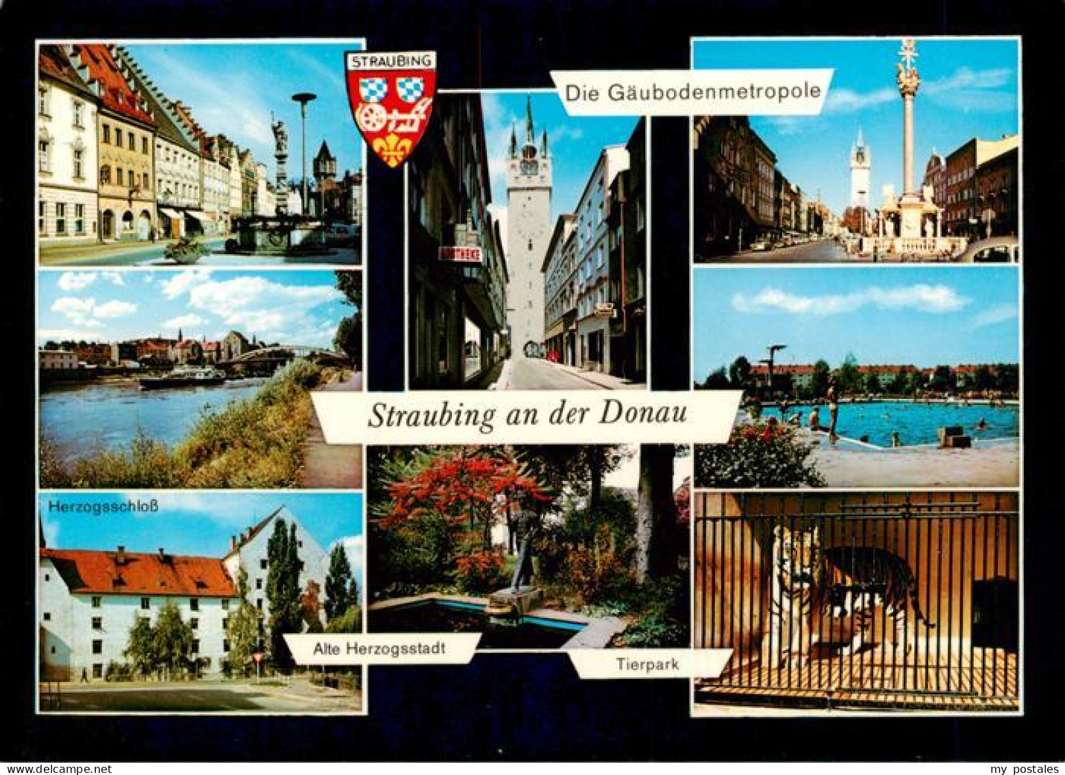 73875513 Straubing Herzogsschloss Kirche Denkmal Brunnen Tierpark Schwimmbad Str - Straubing