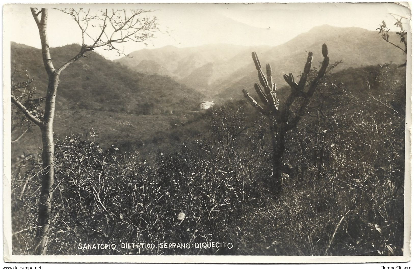 Postcard - Argentina, Córdoba, Serrano Diquecito, N°704 - Argentine