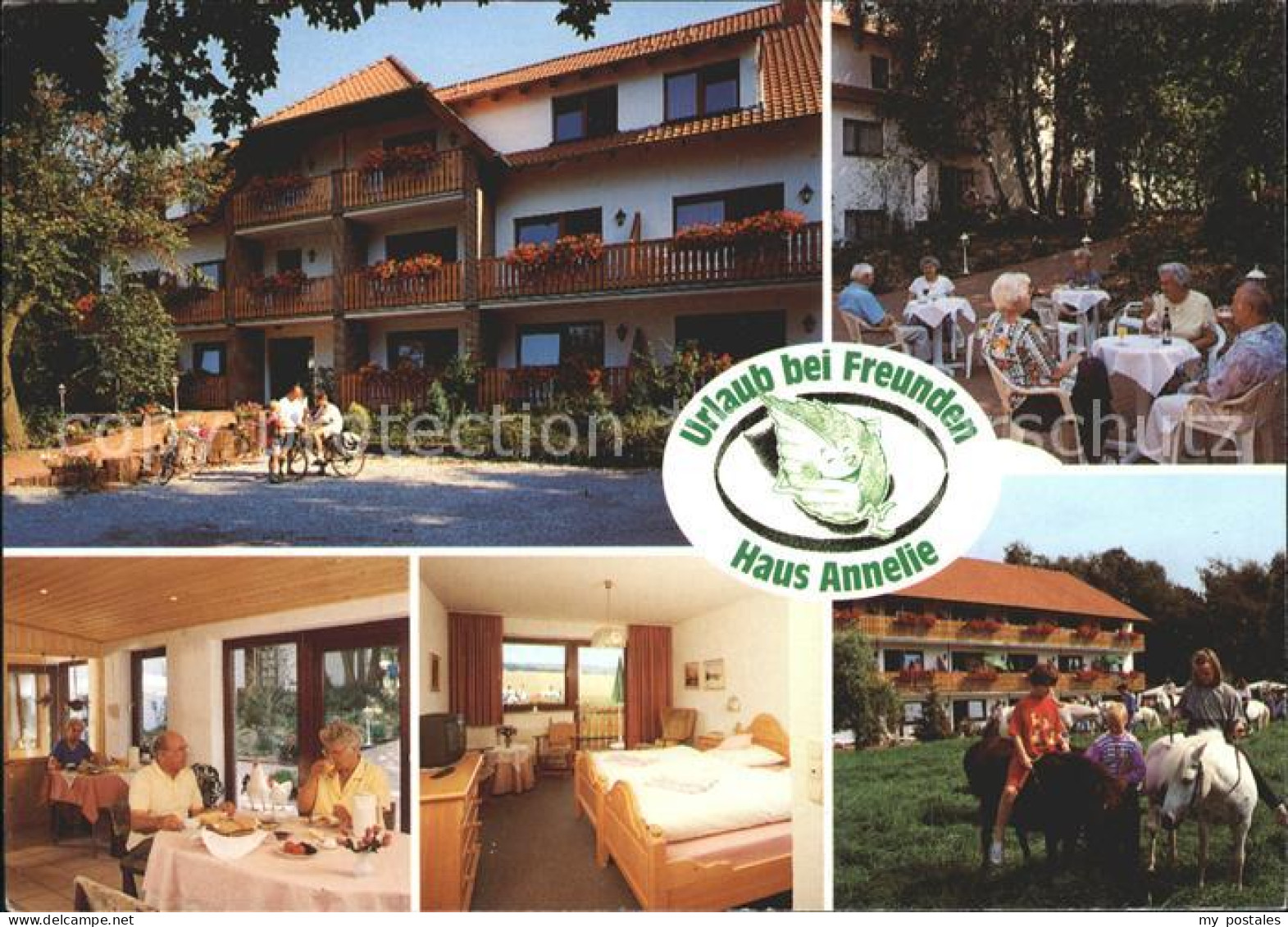 72034731 Oldendorf Wiehengebirge Pension Haus Annelie Garten Gaststube Zimmer Po - Melle