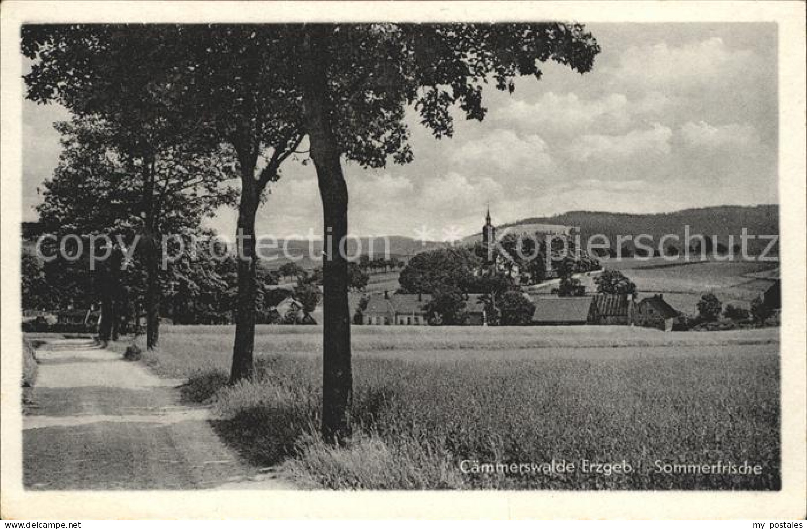 72033772 Caemmerswalde  Neuhausen Erzgebirge - Neuhausen (Erzgeb.)