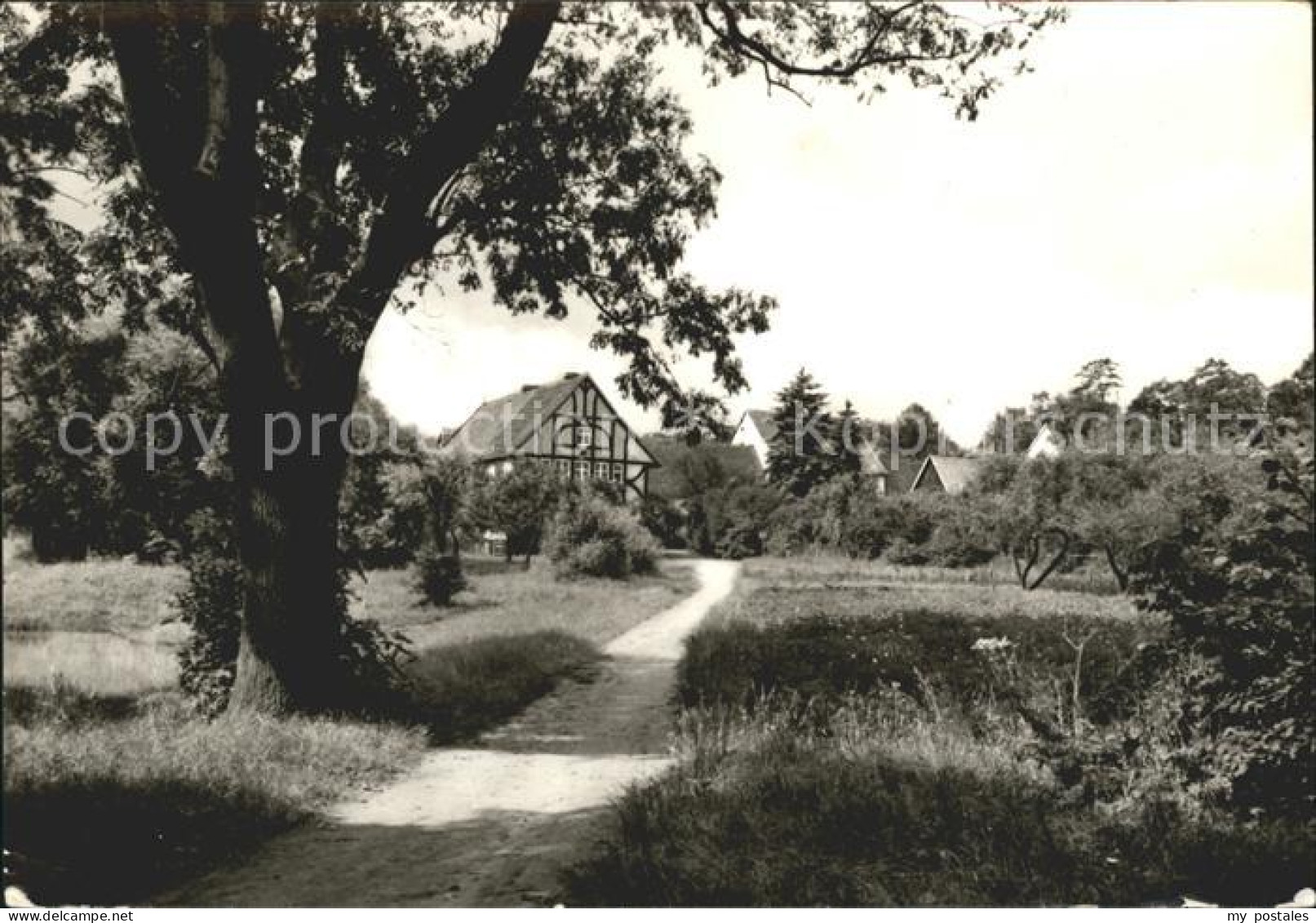 72030696 Haldensleben HOK Waldhof Papenberg Gaststaette Haldensleben - Haldensleben