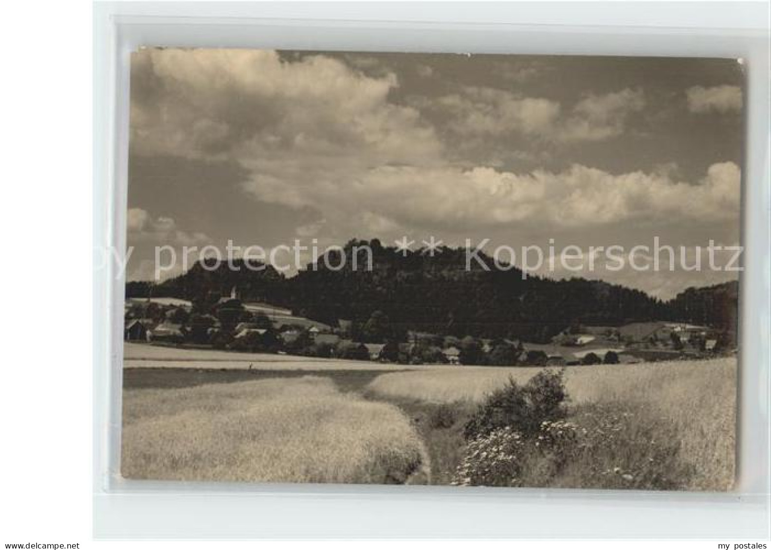 42214829 Papstdorf Panorama Papstdorf - Gohrisch