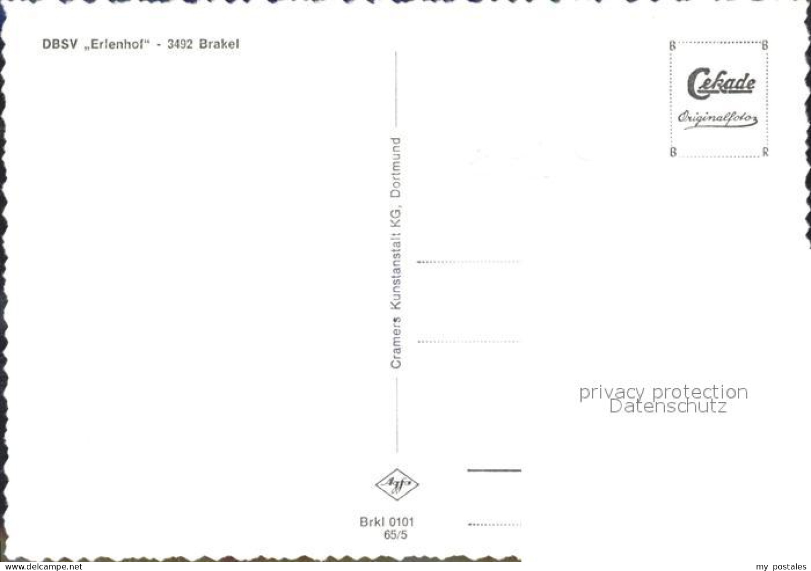 42155618 Brakel Westfalen DBSV Erlenhof  Brakel - Brakel