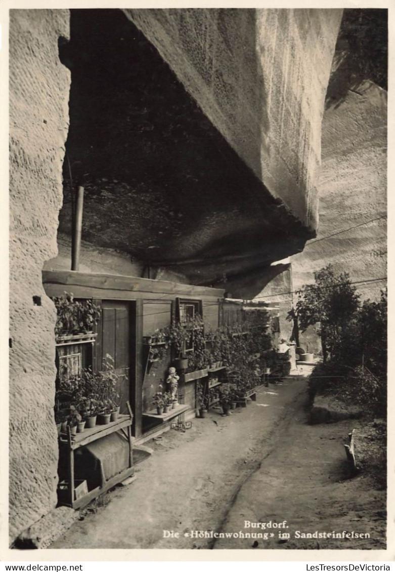 SUISSE - Burgdorf - Die "Hoshenwohnung" Im Sandsteindfelsen - Carte Postale Ancienne - Hasle Bei Burgdorf