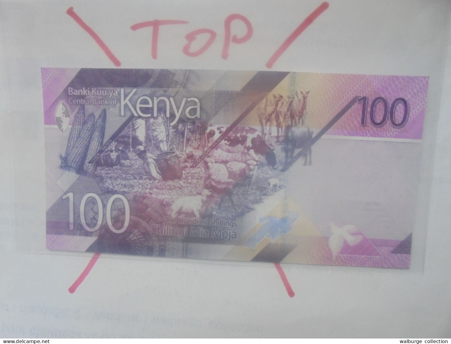 KENYA 100 SHILLINGS 2019 Neuf (B.32) - Kenya