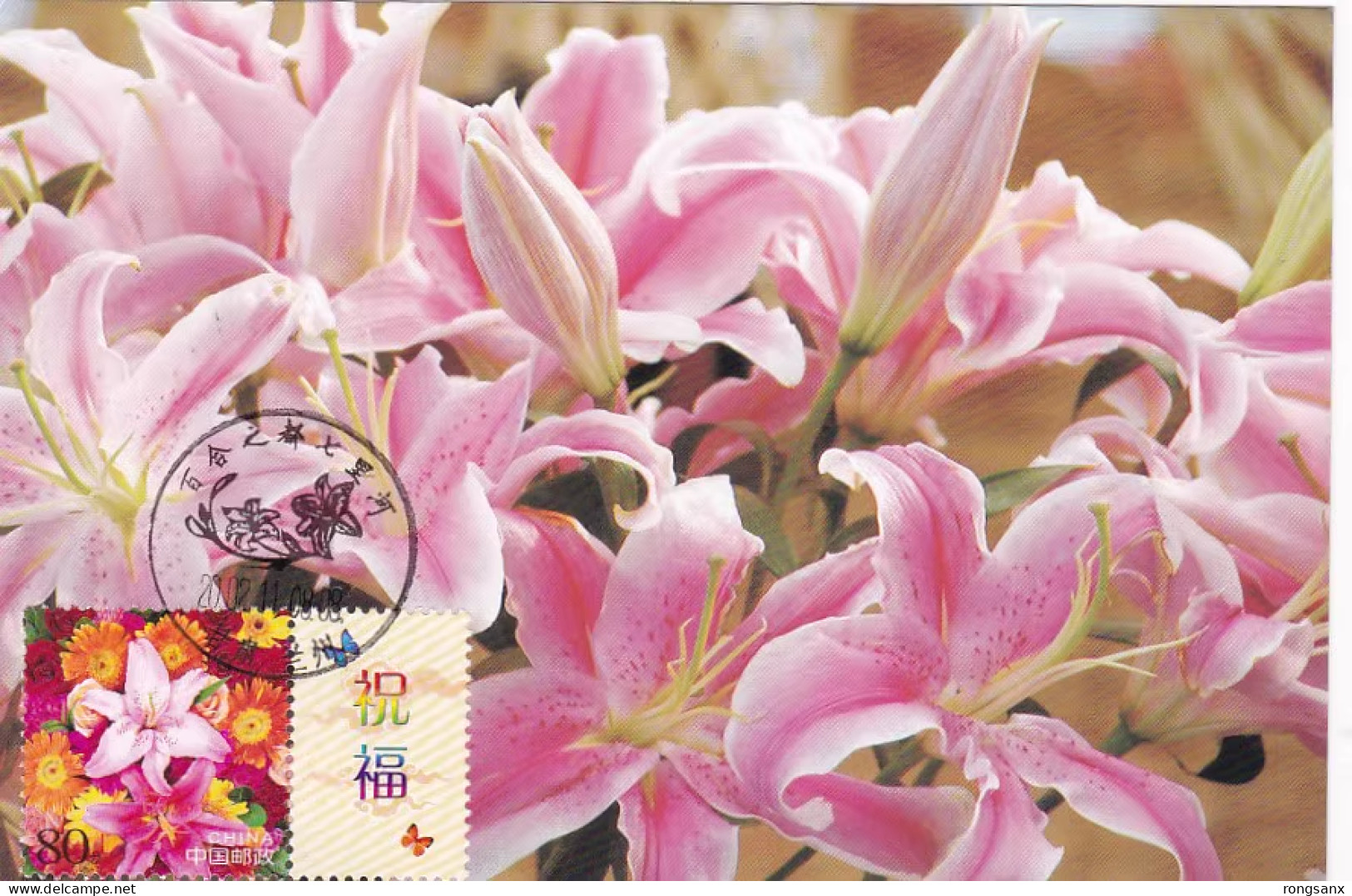 2002 CHINA G-2 GREETING STAMP FLOWER LOCAL MC-S VIEW PMK - Maximumkarten