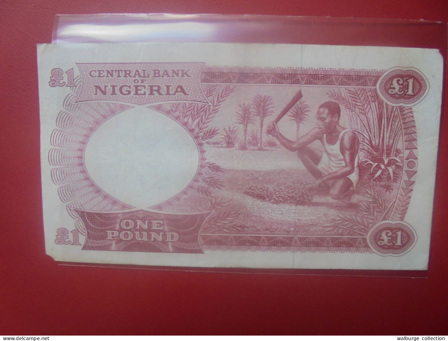 NIGERIA 1 POUND 1967 Circuler (B.32) - Nigeria