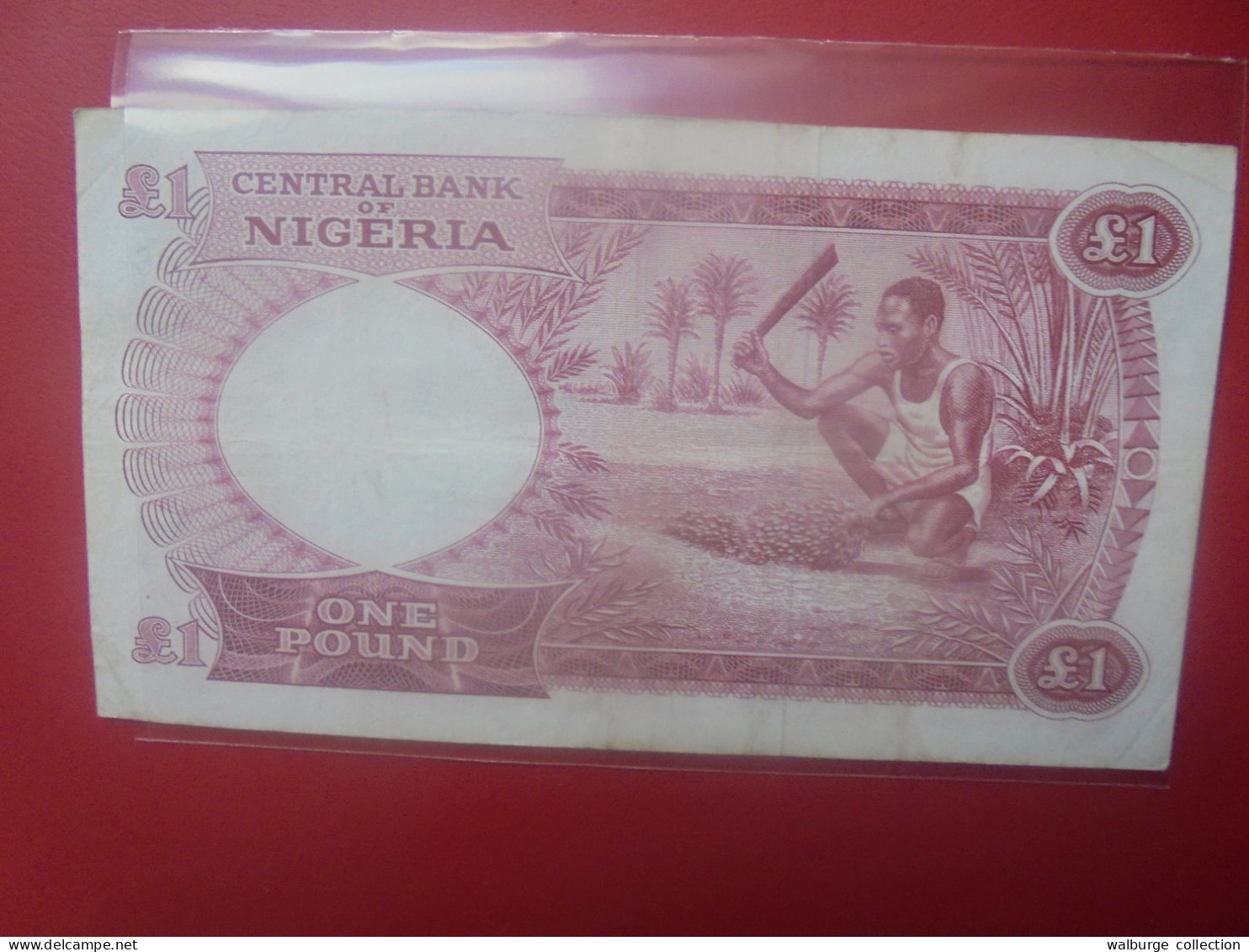 NIGERIA 1 POUND 1967 Circuler (B.32) - Nigeria