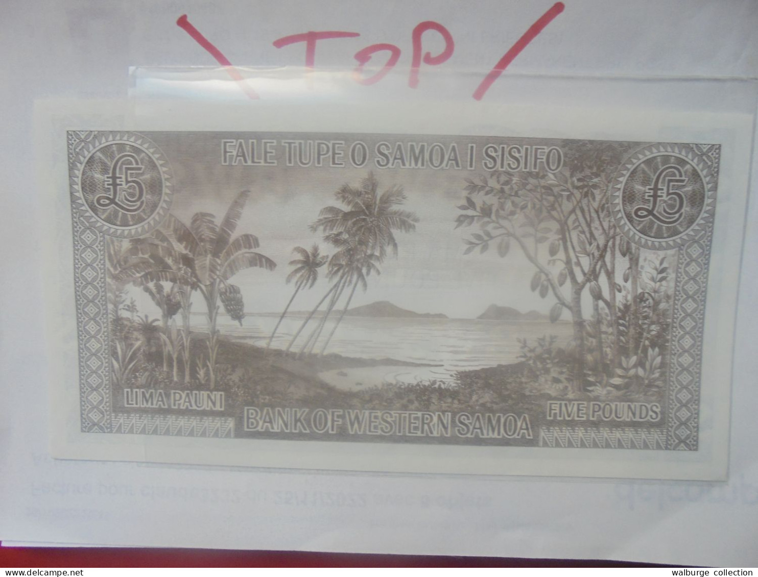 SAMOA (WESTERN) 5 POUNDS Neuf (B.32) - Samoa