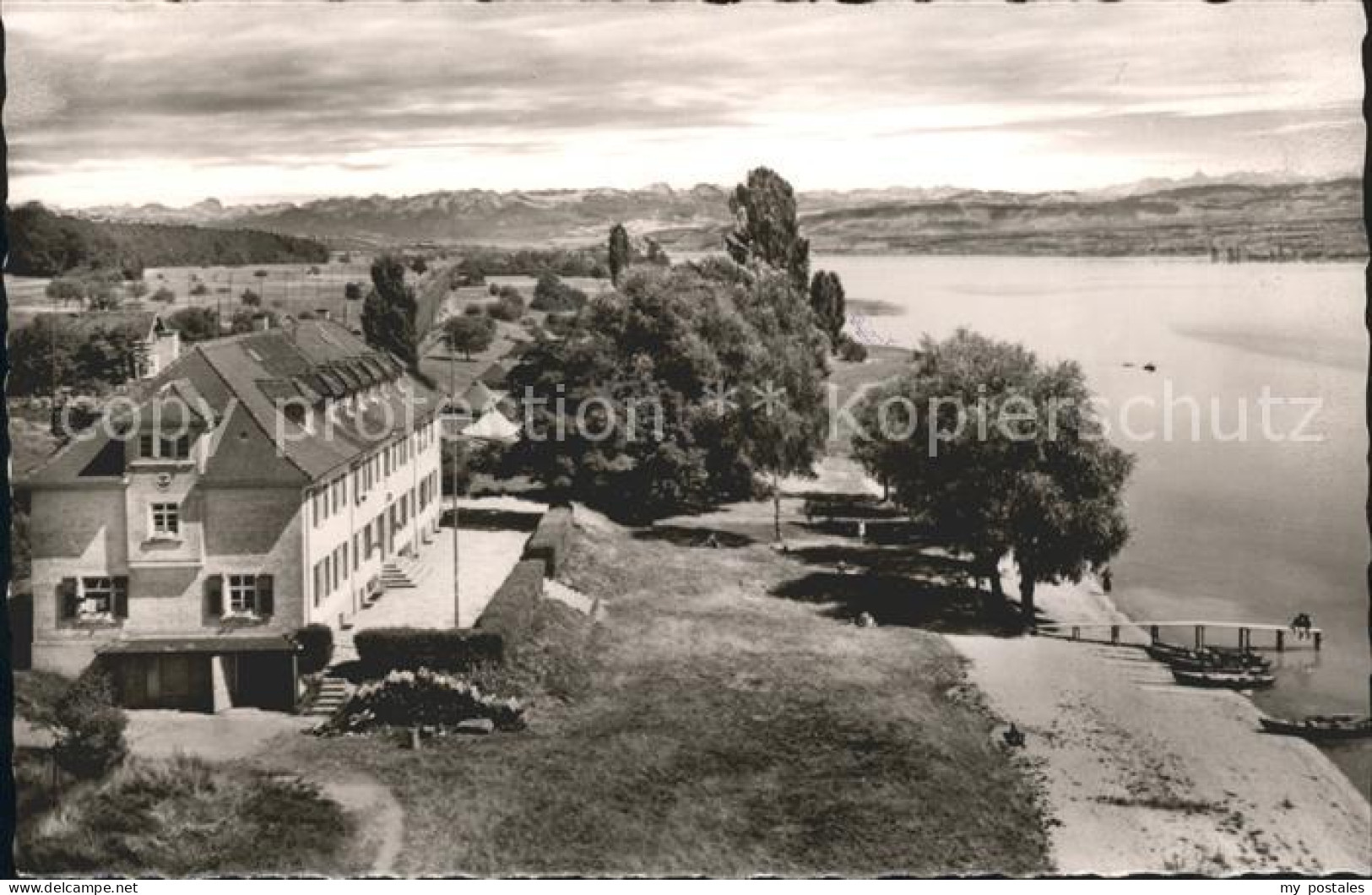 41784373 Markelfingen Blick Konstanz Alpen Markelfingen - Radolfzell