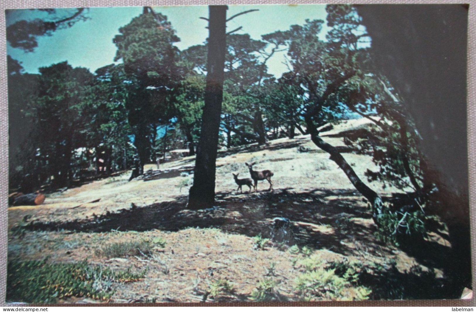 USA CALIFORNIA ASILOMAR PACIFIC GROVE CONFERENCE KARTE CARD POSTCARD CARTE POSTALE POSTKARTE CARTOLINA ANSICHTSKARTE - Long Beach