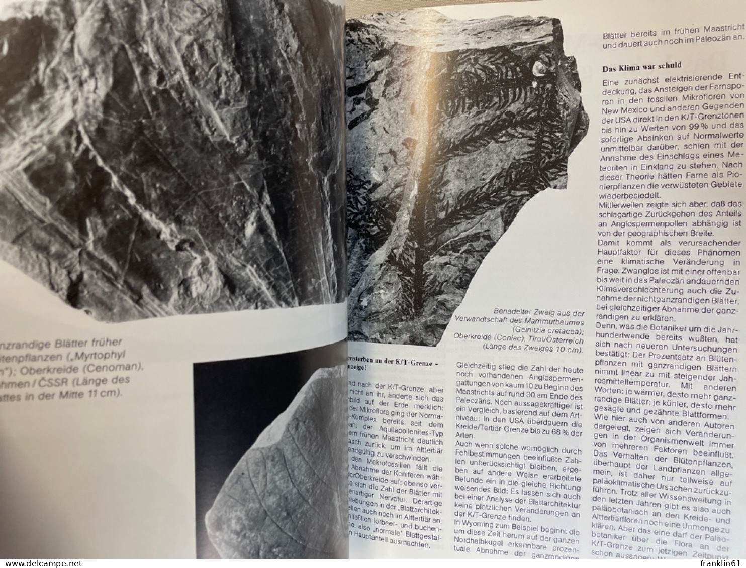 Mineralientage München : Messethemenheft 89.