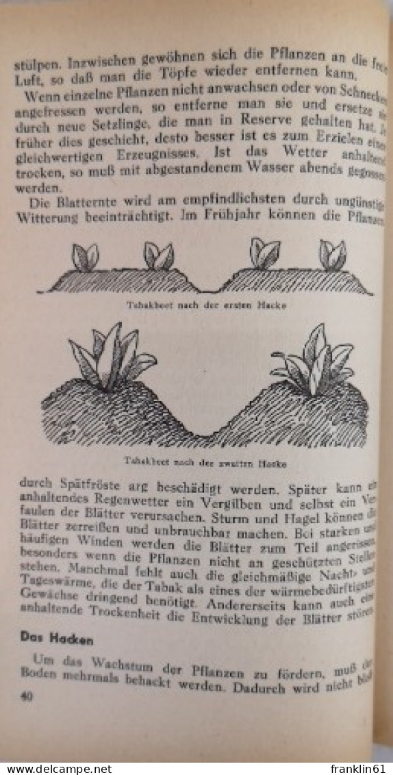 Tabak Im Garten, Anbau Und Fermentation Für Jedermann. - Sonstige & Ohne Zuordnung