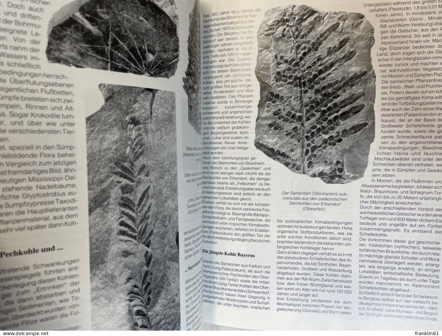 Mineralientage München : Messethemenheft 1992. - Andere & Zonder Classificatie