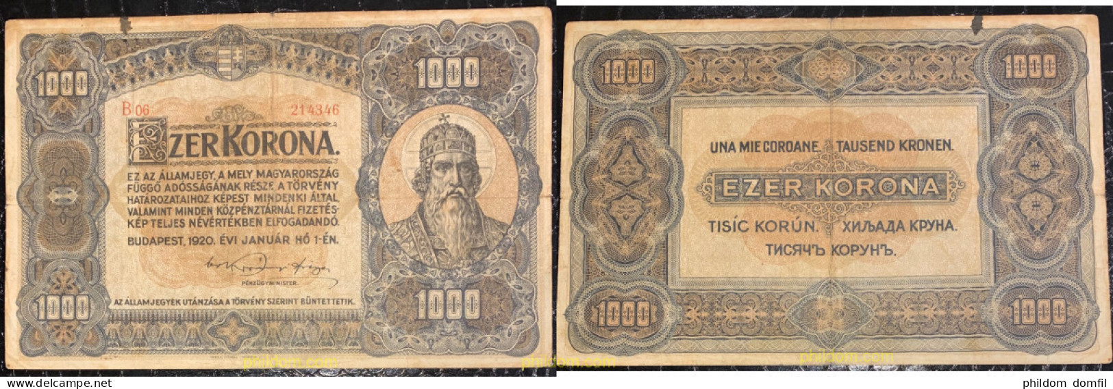 1137 HUNGRIA 2019 HUNGRIA HUNGARY 1000 KORONA 1920 - Hungría