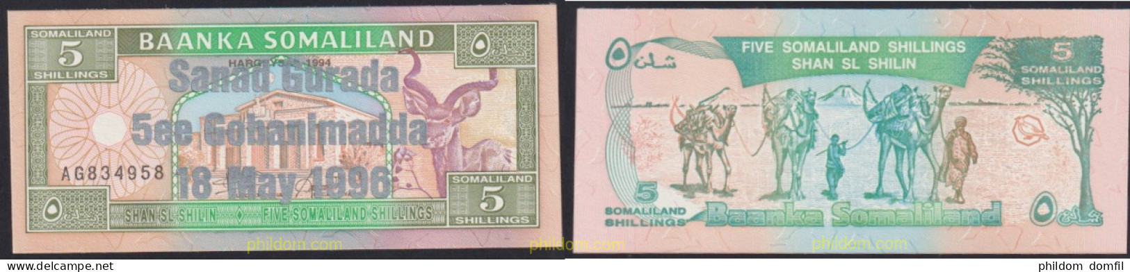 3749 SOMALILANDIA 1996 SOMALILAND 5 SHILLINGS 1996 BRONZE 5TH ANNIVERSARY OF INDEPENDENCE 18 MAY 1996 - Somalië