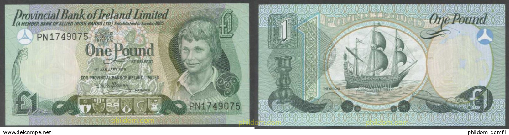 5293 IRLANDA 1979 IRELAND 1 POUND 1979 - 1 Pound