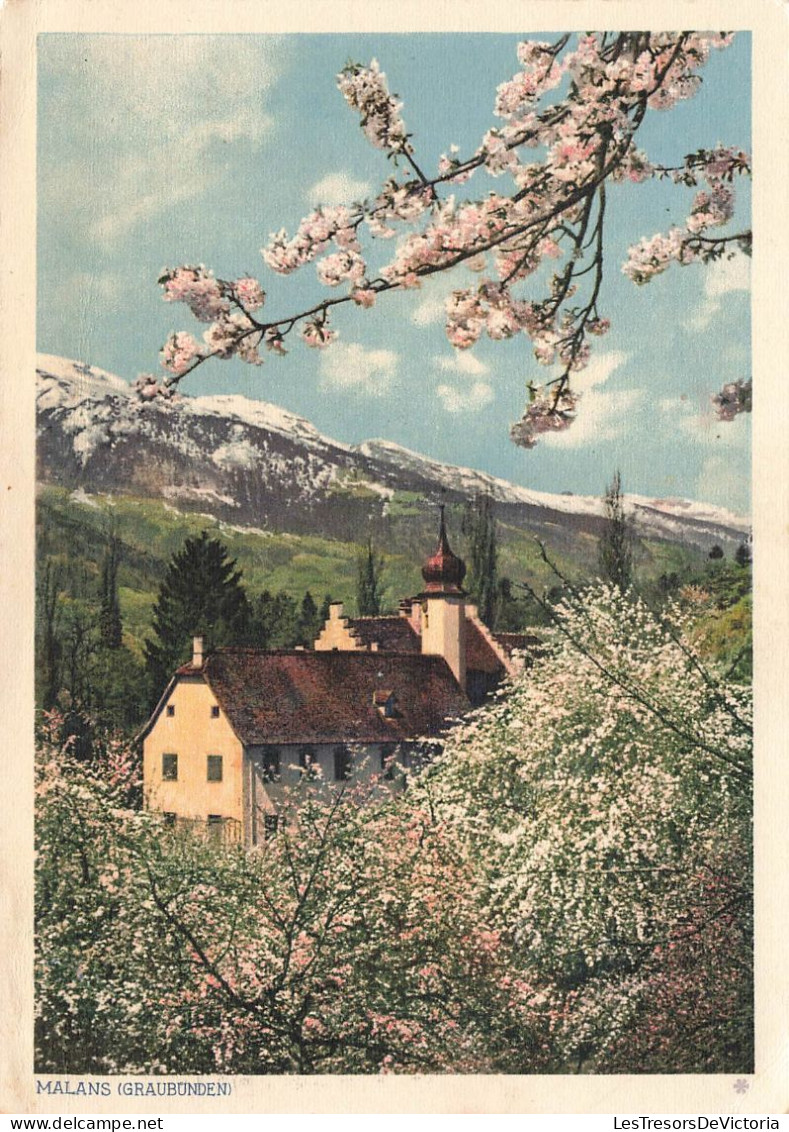 SUISSE - Malans (Graubunden)- Carte Postale - Malans