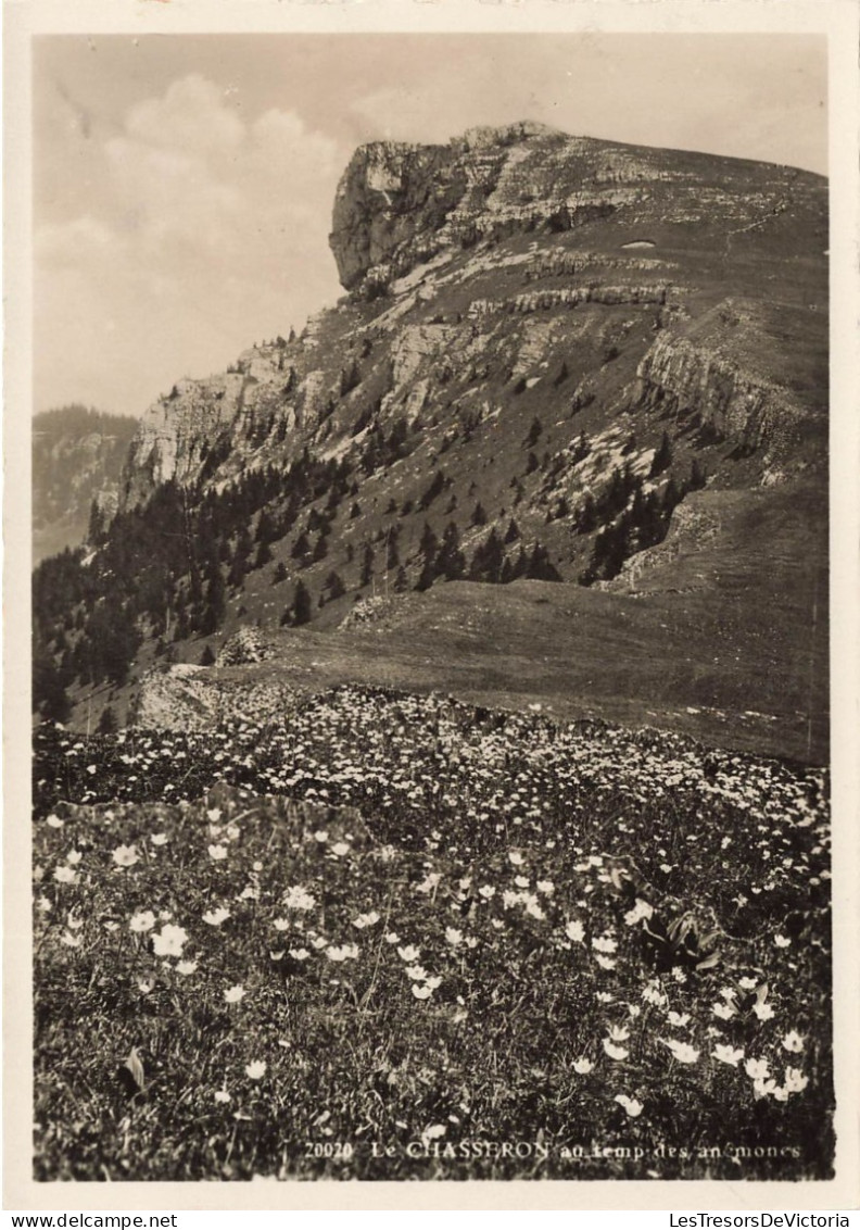 SUISSE - Le Chasseron Au Temps Des Annonces - Carte Postale - Baulmes