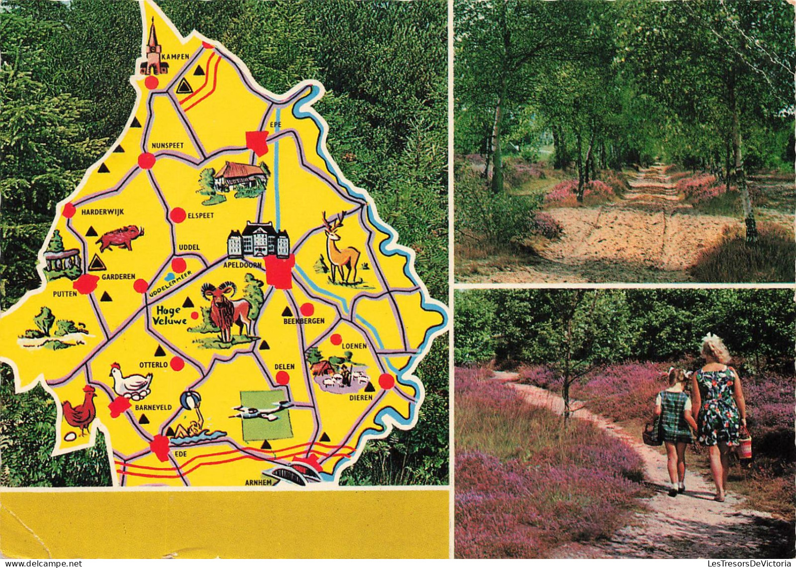 CARTES GEOGRAPHIQUES - Multivues Pays-bas - Carte Postale - Landkarten